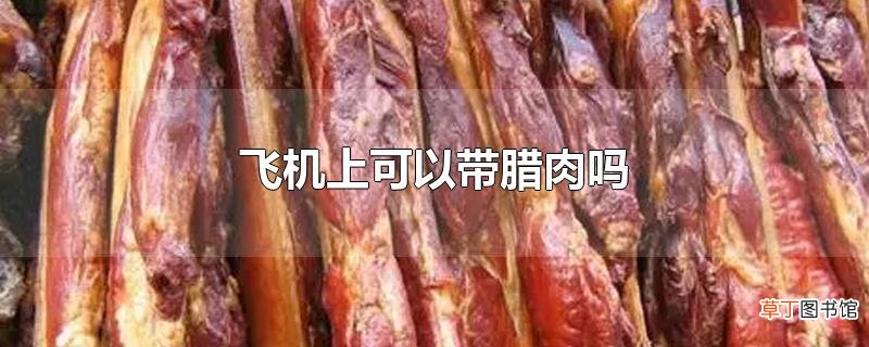 飞机上可以带腊肉吗