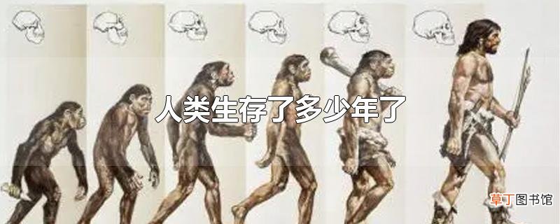 人类生存了多少年了