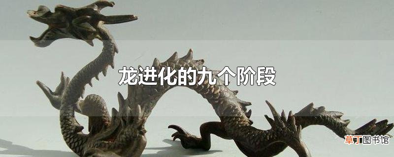 龙进化的九个阶段