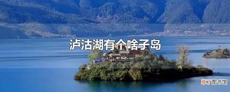 泸沽湖有个啥子岛