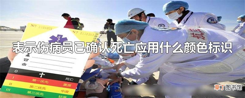 表示伤病员已确认死亡应用什么颜色标识