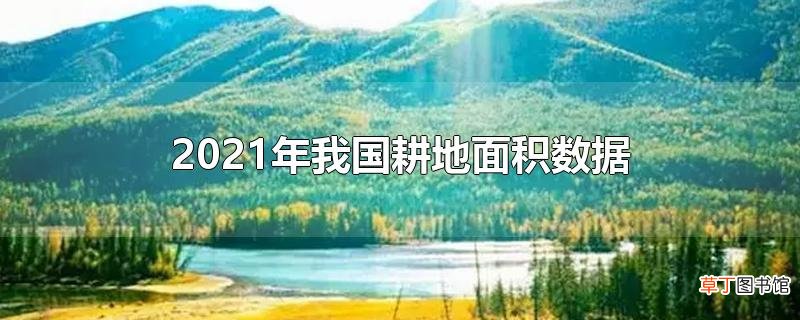 2021年我国耕地面积数据