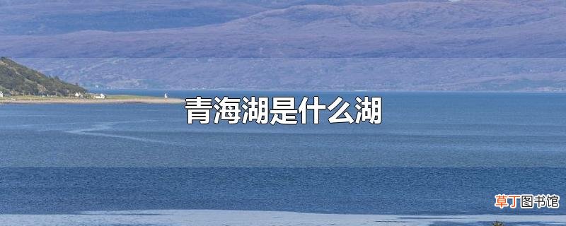 青海湖是什么湖