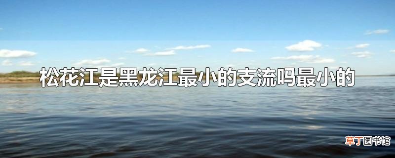 松花江是黑龙江最小的支流吗最小的
