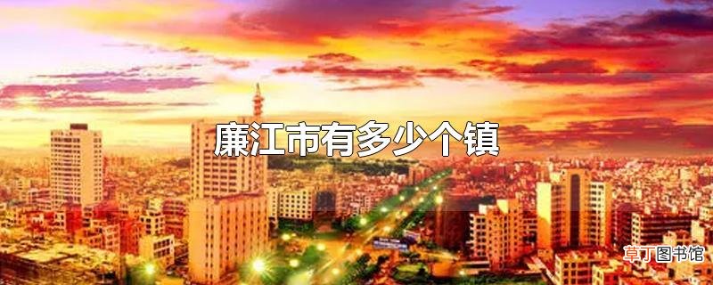 廉江市有多少个镇