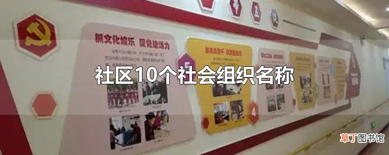 社区10个社会组织名称