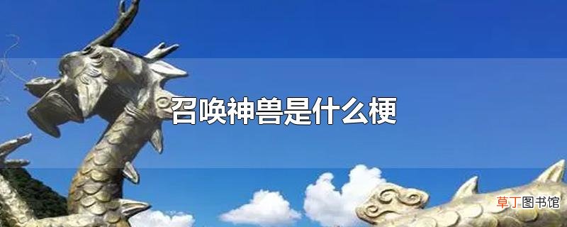 召唤神兽是什么梗