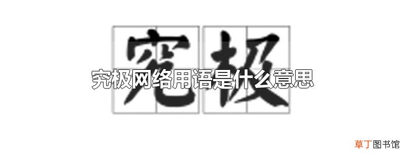 究极网络用语是什么意思