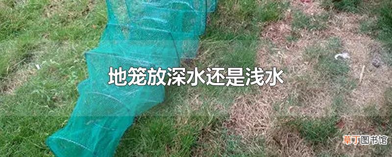 地笼放深水还是浅水