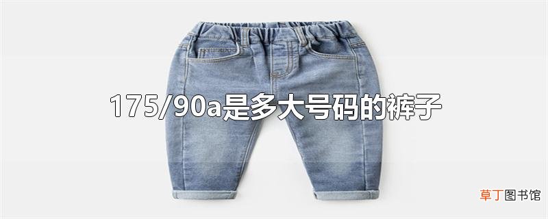 175/90a是多大号码的裤子