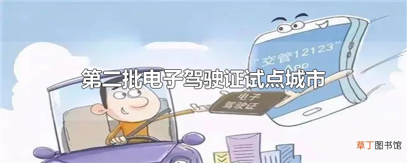 第二批电子驾驶证试点城市