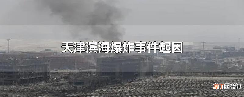 天津滨海爆炸事件起因