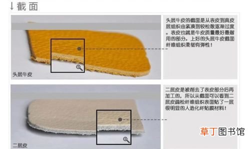 头层皮、二层皮、再生皮和人造皮怎么区分 头层牛皮和二层牛皮还有仿真皮革的区别 )