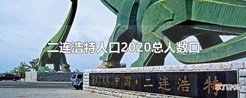 二连浩特人口2020总人数口