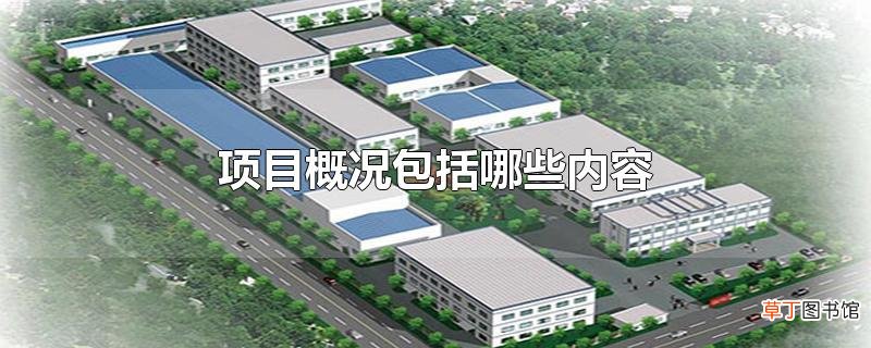 项目概况包括哪些内容