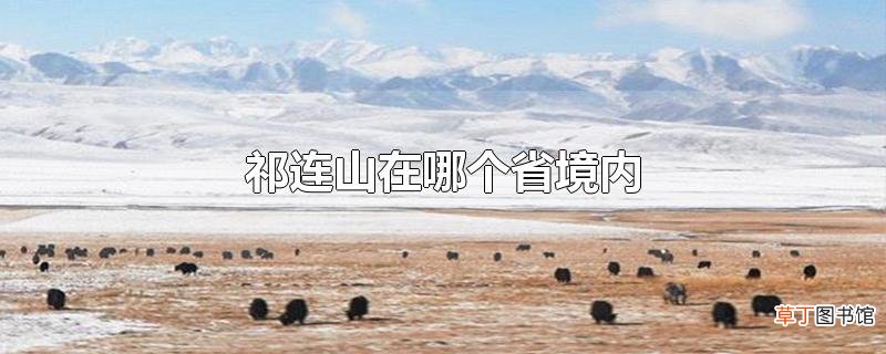 祁连山在哪个省境内