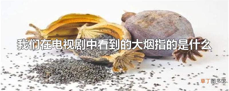我们在电视剧中看到的大烟指的是什么