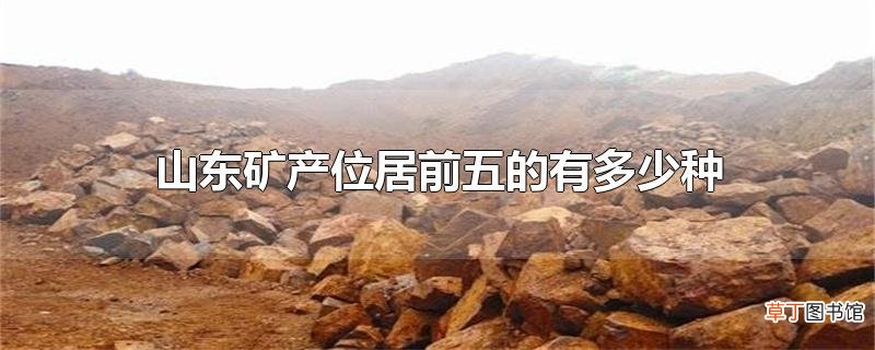 山东矿产位居前五的有多少种