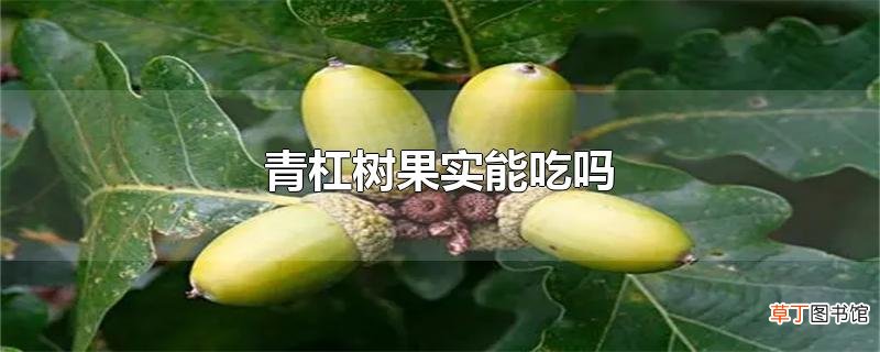 青杠树果实能吃吗