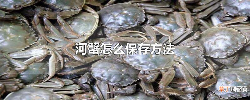 河蟹怎么保存方法