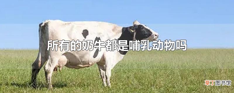 所有的奶牛都是哺乳动物吗