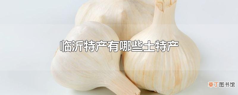 临沂特产有哪些土特产