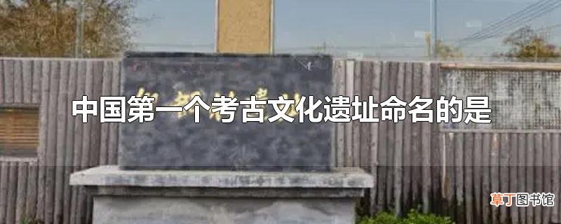中国第一个考古文化遗址命名的是