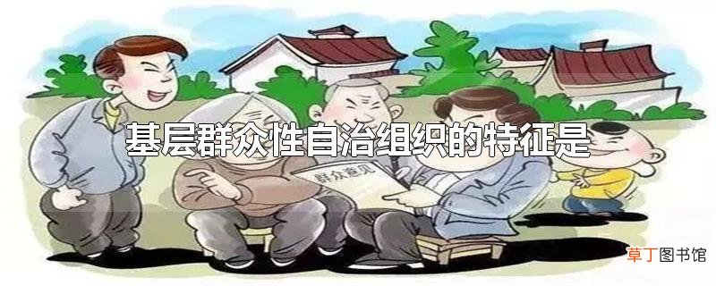 基层群众性自治组织的特征是