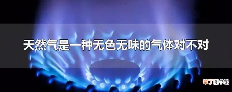 天然气是一种无色无味的气体对不对