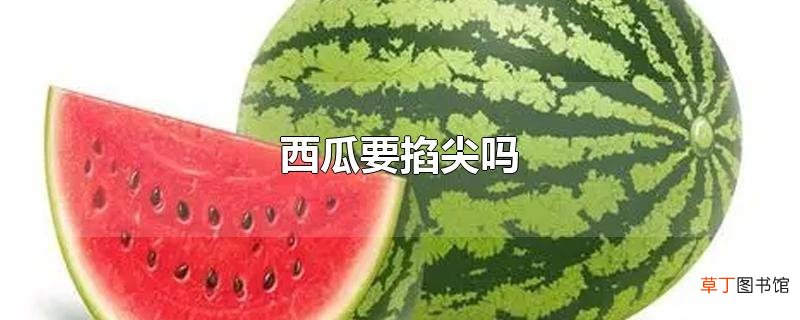 西瓜要掐尖吗