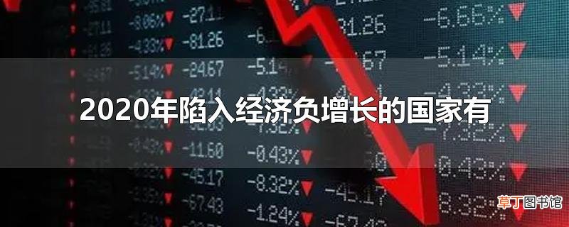 2020年陷入经济负增长的国家有