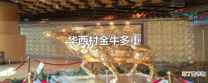华西村金牛多重