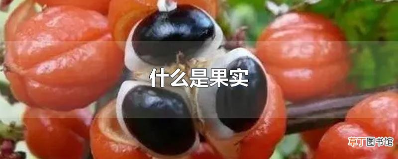 什么是果实