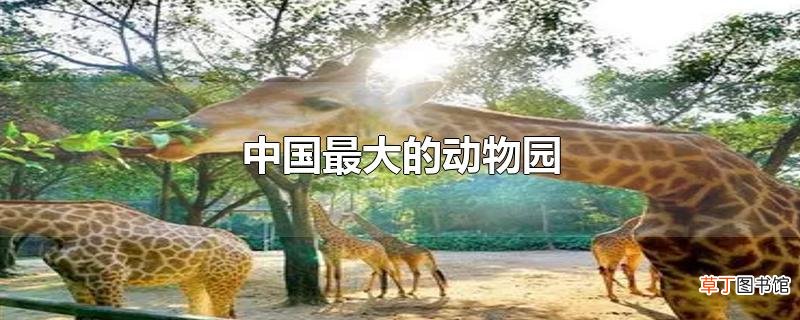 中国最大的动物园