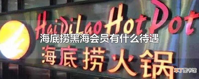 海底捞黑海会员有什么待遇