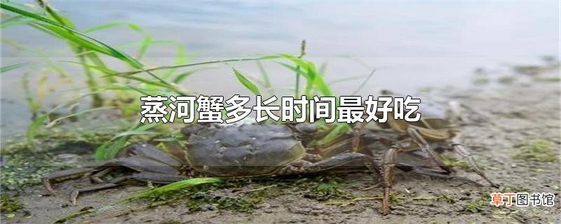 蒸河蟹多长时间最好吃