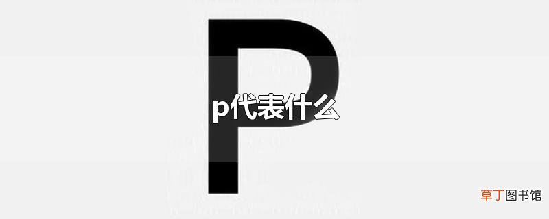 p代表什么