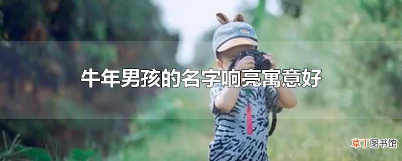 牛年男孩的名字响亮寓意好