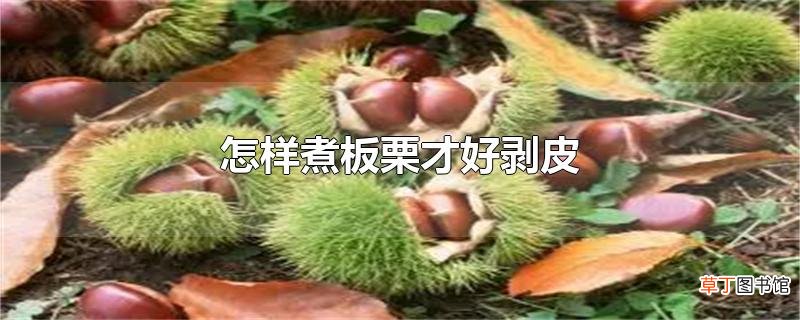 怎样煮板栗才好剥皮