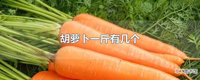 胡萝卜一斤有几个