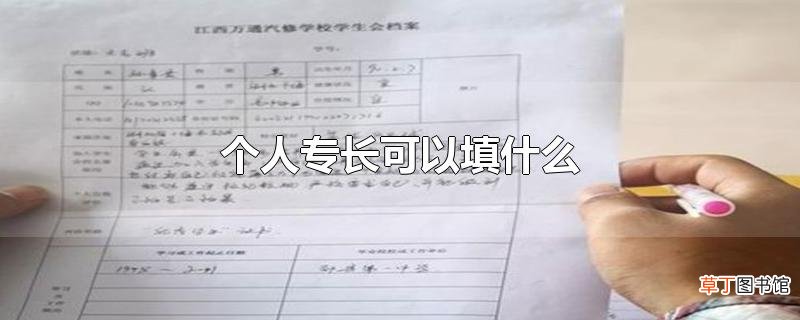 个人专长可以填什么