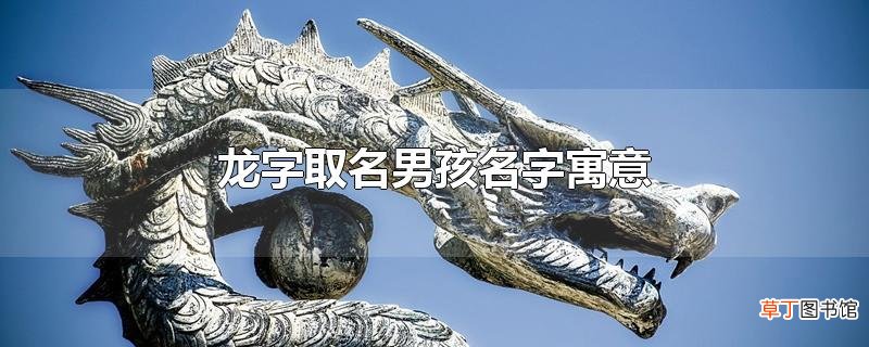 龙字取名男孩名字寓意