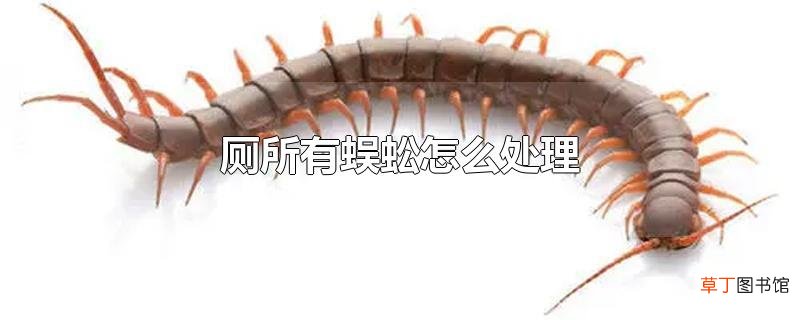 厕所有蜈蚣怎么处理