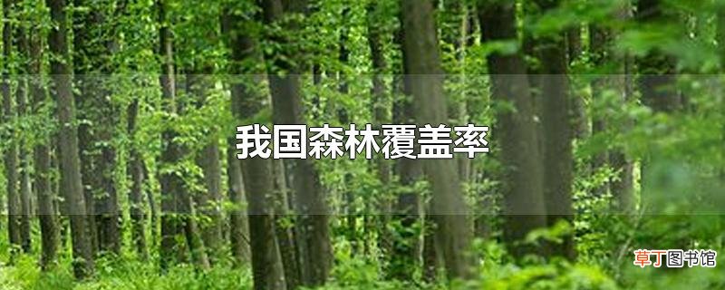 我国森林覆盖率