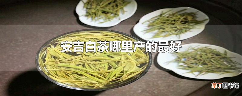 安吉白茶哪里产的最好