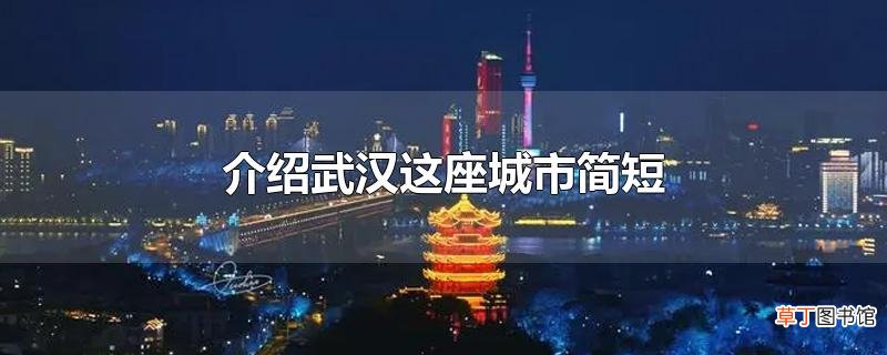 介绍武汉这座城市简短