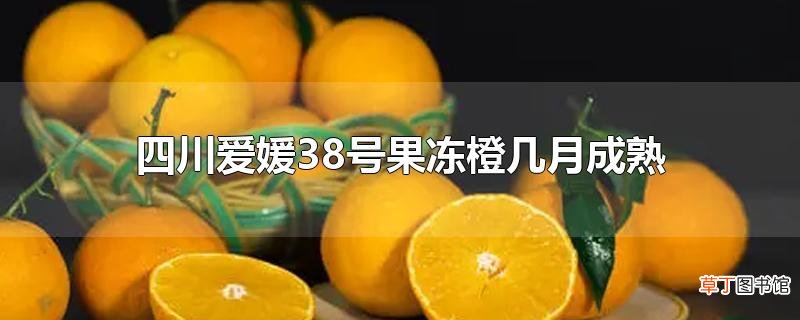 四川爱媛38号果冻橙几月成熟