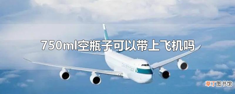750ml空瓶子可以带上飞机吗