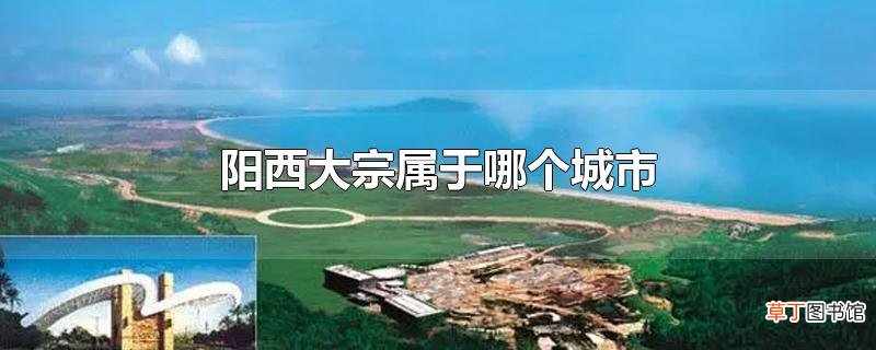 阳西大宗属于哪个城市
