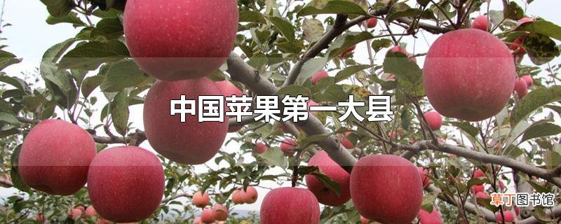中国苹果第一大县